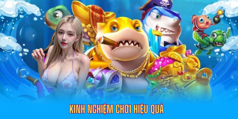 Kinh nghiệm chơi hiệu quả